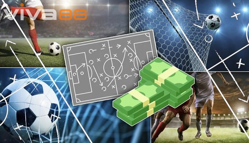 Kèo 2.5 viva88 phù hợp với những người mới chơi