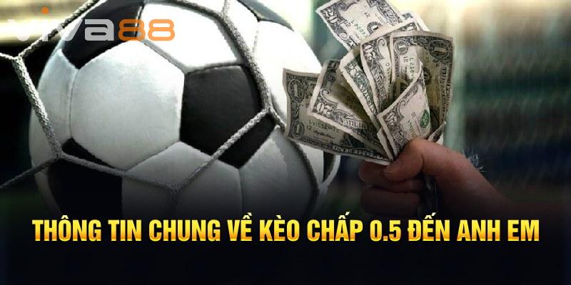 👉 Điểm hấp dẫn của kèo chấp 0.5 Viva88 nằm ở tính phân định rõ ràng: chỉ có thắng hoặc thua, không bao giờ hòa kèo.