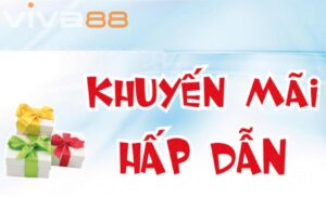 Những lợi ích vô cùng ấp dẫn khuyến mãi viva88