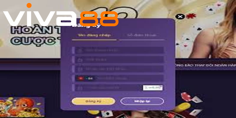 Cam kết an toàn và quyền lợi thành viên Viva88