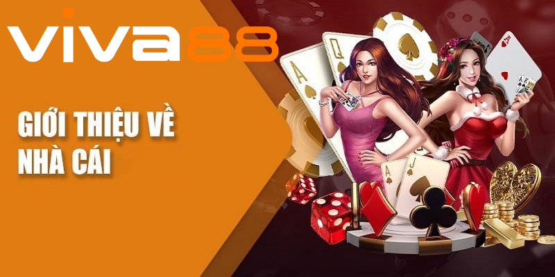 Câu hỏi thường gặp về Viva88